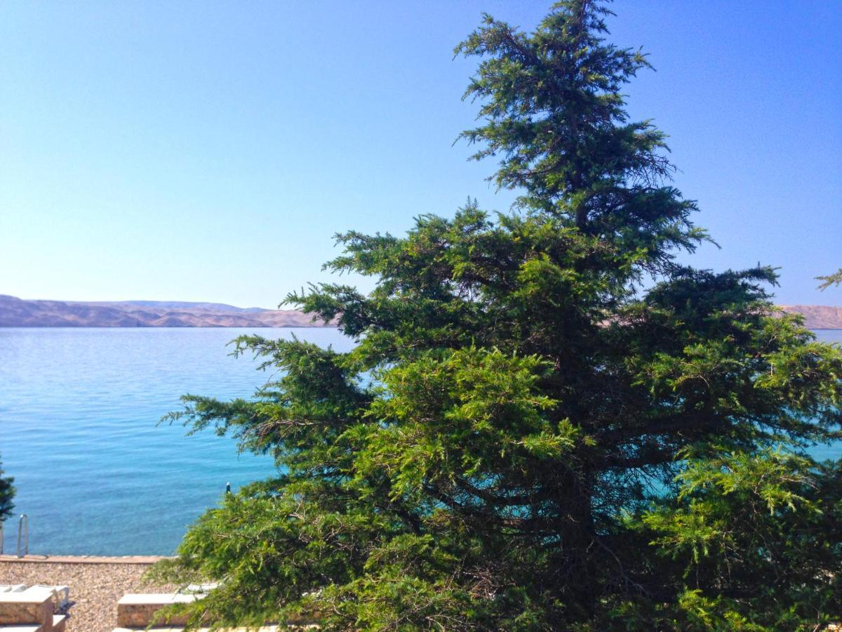 Apartmani Ribarica**** Karlobag Esterno foto